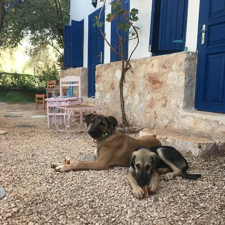 Sunderland Vadi Bed and Breakfast Κας